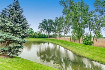 Pond with green space